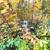 The Possibilities are Endless with this 4.5 Acre Lot 9 thumbnail
