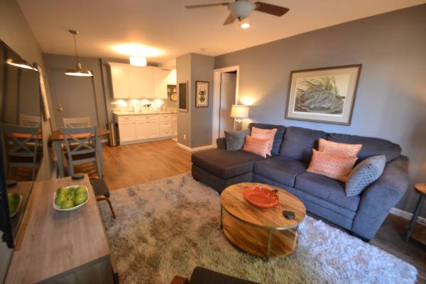 $1,295 / 1br - 600ft2 - R-8 FURNISHED 1 BR Apartment Central City (Cincinnati)63974472418563120