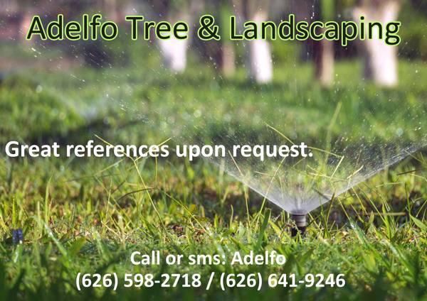 🌴ADELFO Tree Service, Removal. Landscaping, Garden. References.🌴 1