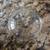 Glass Bowl Set 2 thumbnail