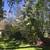 Sensational NorCal Location: Beautiful Home and Garden, Horse Property 9 thumbnail