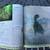 Hardback - “Scholastic Dinosaurs A To Z” 8 thumbnail