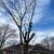 GARLANG TREE SRVICES 18 thumbnail