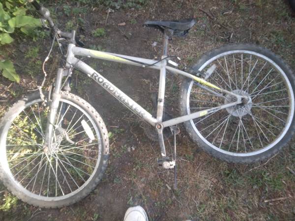 Roadmaster bike 1