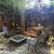 Stunning guest cottage on gated estate all utilities included 19 thumbnail