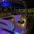 Rinker Fiesta Vee 300 - Toad Cove Yacht Club 10 thumbnail