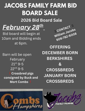 Show Pigs 4-h and FFA 1