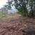 LAND CLEARING-FORESTRY MULCHING-STUMP GRINDING-BOBCAT SERVICES 4 thumbnail