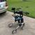 Elkner standup walker 3 thumbnail