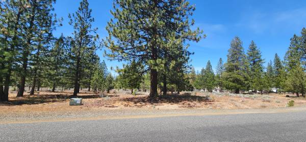 $8,000 / 10000ft2 - Quarter acre lot on Fisher in Lake Shastina (Lake Shastina)63678184678019121