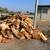 Split seasoned mixed firewood delivery 6 thumbnail