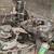 EVERYTHING AUTOMOTIVE & TRANSMISSION MOBILE AUTOMOTIVE REPAIR 14 thumbnail