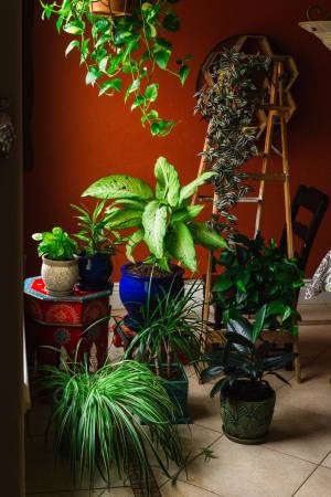 Lifestyle Landscaping! 1