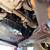 2006 Honda Element EX 5-Speed Manual AS IS --STARTS needs repair 2 thumbnail
