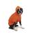 NWT*👉🏻Basic Dog Hoodie 20" Large Vibrant Orange 1 thumbnail