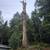 Removal of dangerous or regular trees - Contact Us 11 thumbnail