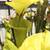 Carnivorous Plants Large Selection! Pitcher Plant Venus Flytrap Sundew 4 thumbnail