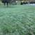 GRADING / INSTALLATION SOD / 11 thumbnail