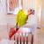 2 boy dilute green cheek conure 5 thumbnail