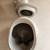Cute Kitty Cat Kids Cookie Jar New Mint Cond w/ Lid Latch Catch 4 thumbnail