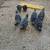 Chicks 5 thumbnail