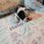 Boston terrier puppies 8 thumbnail