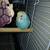 Budgies 7 weeks 3 thumbnail
