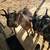 Goats 7 thumbnail