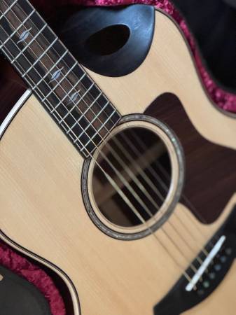 Taylor 816ce builder’s edition 1