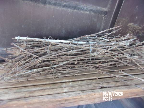 Barbed Wire Collection 1