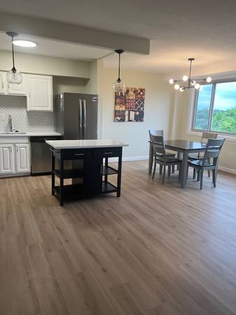 $2,400 / 2br - 2200ft2 - Renovated 2 bedroom  and renovated bathroom (Hyattsville)63843415619715121