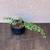 Elephant Bush Bonsai 10 thumbnail