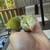 Baby green Quakers 4 thumbnail