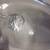 Antique Glass Urinal 2 thumbnail