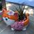 Zebra & Flow succulents in cute animal planters 3 thumbnail