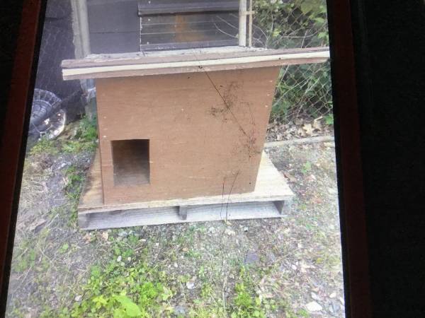 Cat warm house free 1