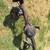 1969 mustang rear end axle 8" ford 2 thumbnail