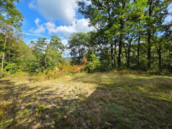 $49,000 720 Autumn Dr, Maggie Valley - 0.75Acres, 2 Bed Septic Installed (Smoky Falls)64029208378883120