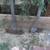 GARDEN TOOLS 7 thumbnail