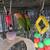 Lovebirds 1 thumbnail