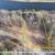 Vacant Lot on Wisconsin River 2 thumbnail