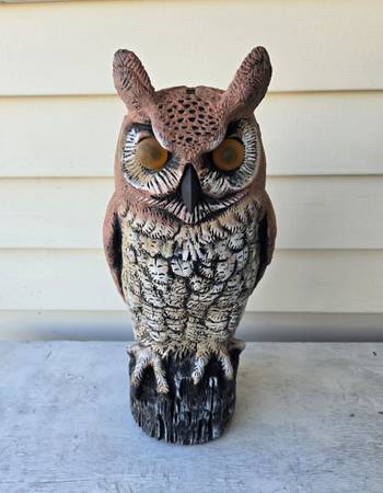 Large Owl To Keep Birds Away, Yard Art 1