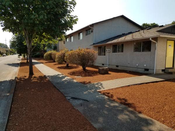 Large 1 Bedroom Apartment 1