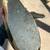 Heavy Solid Brass Swan – Vintage Decor with Patina 5 thumbnail