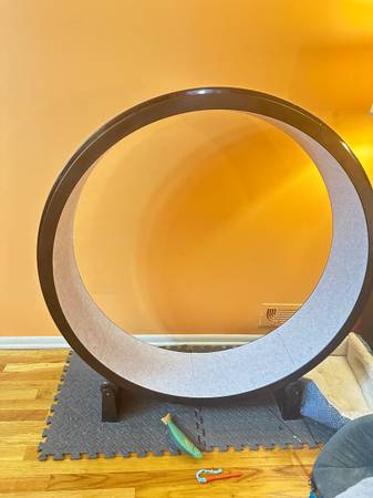 Cat Exercise Wheel 1