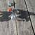 Paul Components Neo-Retro Cyclocross Brake, Polished. Front and Rear s 3 thumbnail