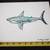 2 Great White Sharks Paintings Original Artworks Signed 6 thumbnail