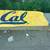2 ft x 6 ft XL Cal logo banner on yellow vinyl. 3 thumbnail
