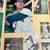 184 PHOTOS OF THE BOSTON RED SOX STARS FROM THE 1950'S 8 thumbnail
