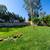 Rare 3-Bed, 2-Bath Opening – Don’t Miss Out! 16 thumbnail